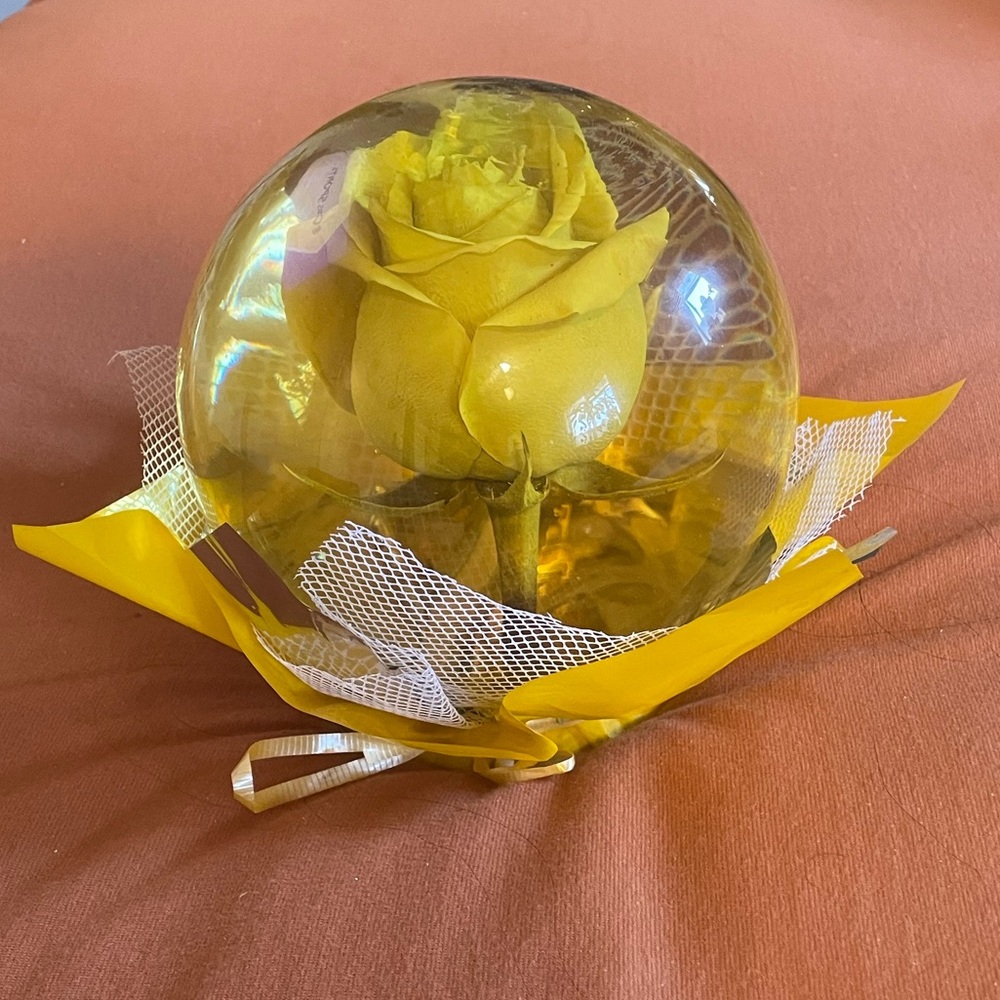 Yellow Forever Rose